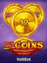 Slot game at ZIGO COM